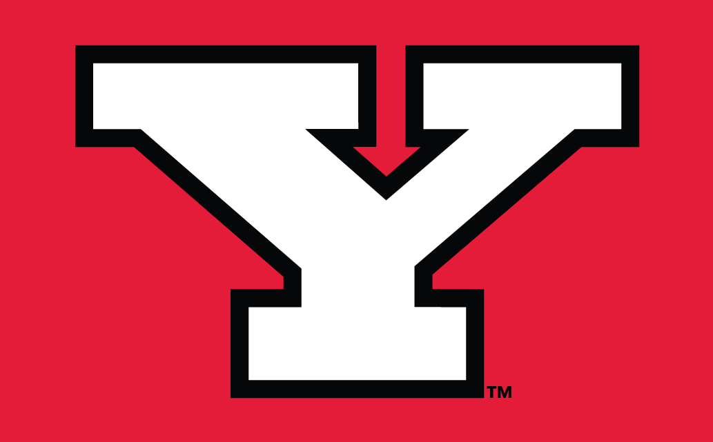 Youngstown State Penguins 1993-Pres Alternate Logo v3 iron on transfers for clothing